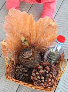 panier à trésors