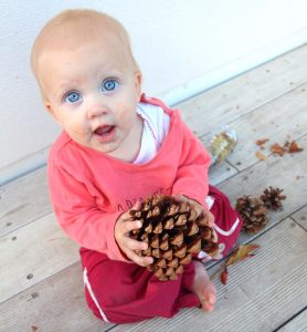 paniers à trésors automne